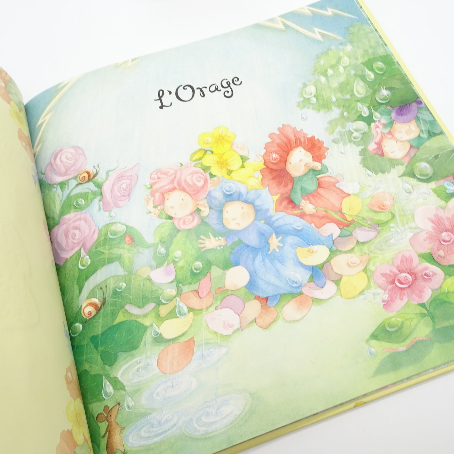 Les Bébés-fleurs, histoire du jardin aux mille couleurs EDITION QUATRE FLEUVES - Dès 3 ans | Ref 14773