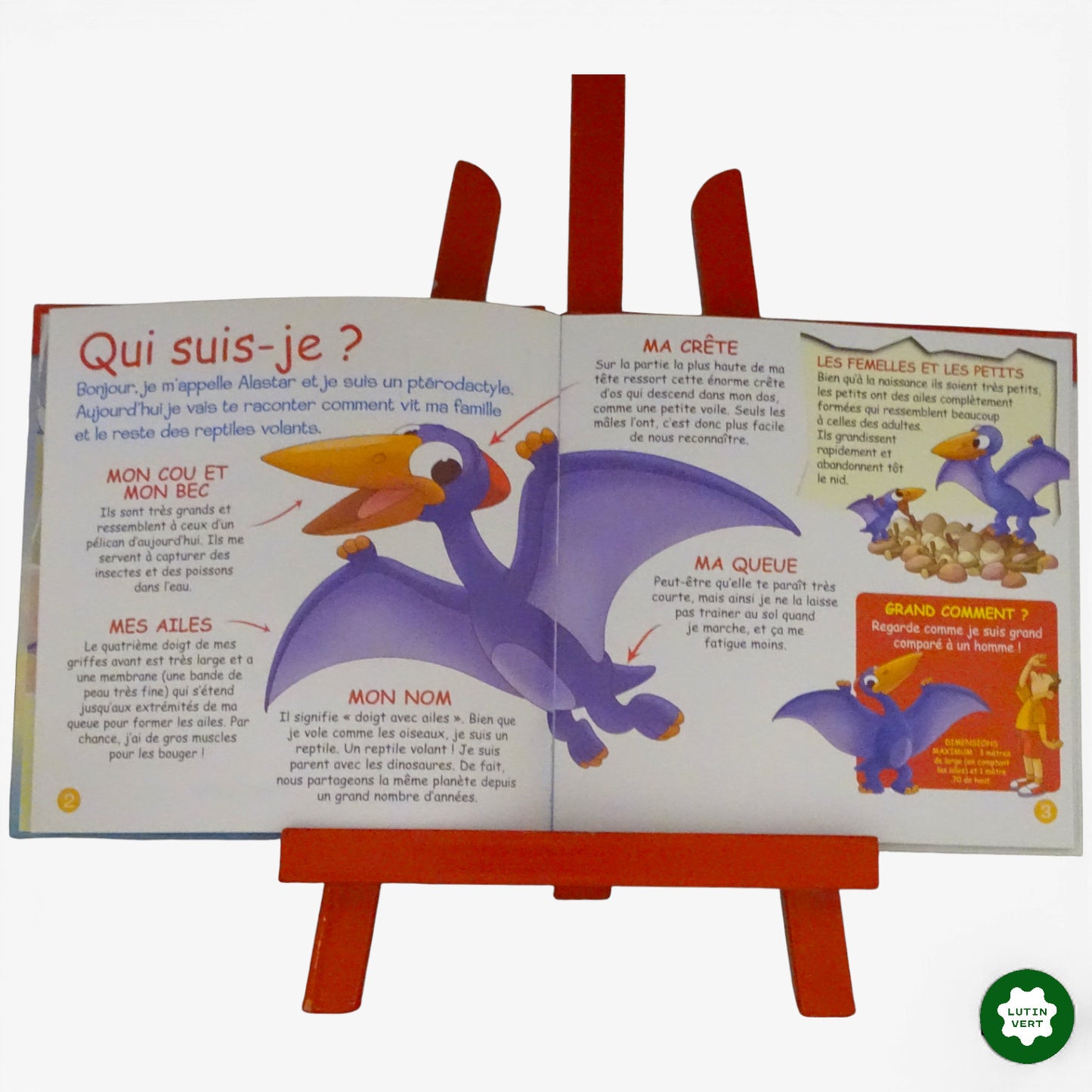 « Le ptérodactyle » d'occasion DEAGOSTINI - Dès 6 ans | Ref 11014
