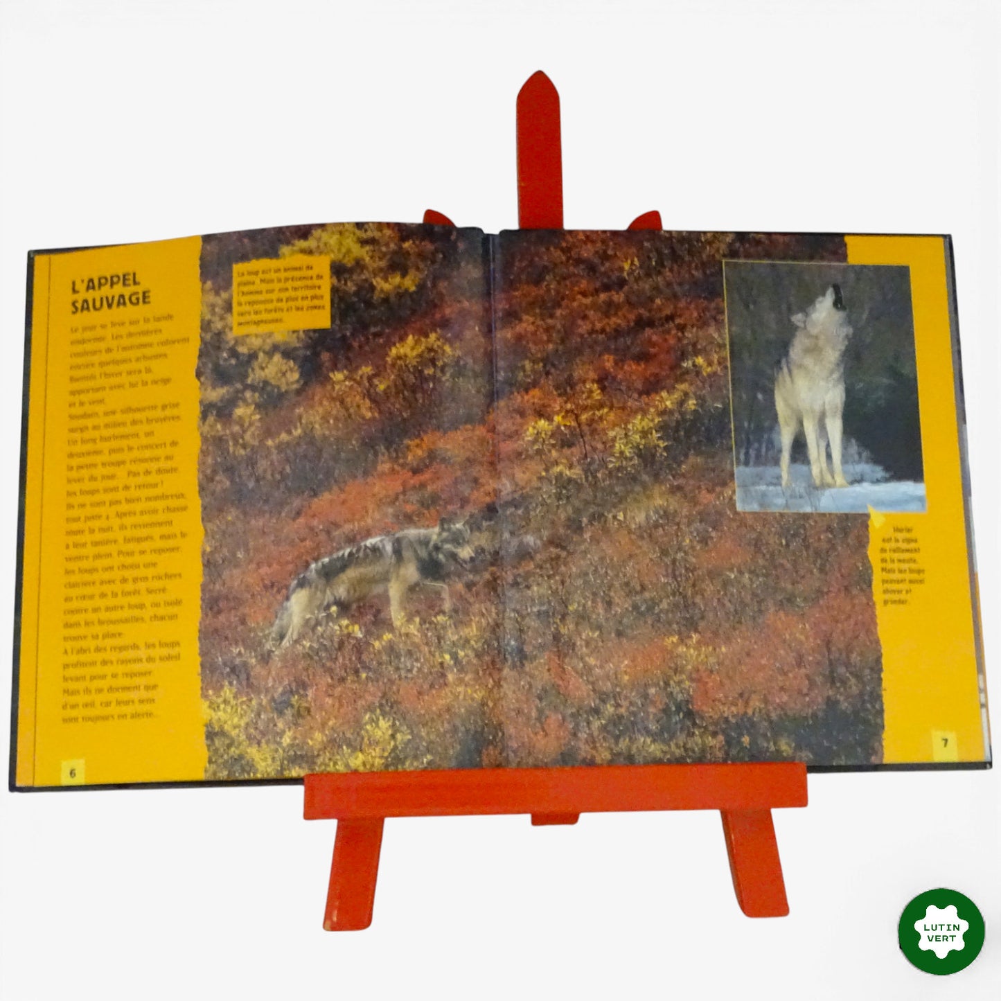 Livre documentaire « Le Loup » d'occasion MILAN JEUNESSE - Dès 6 ans | Ref 11099