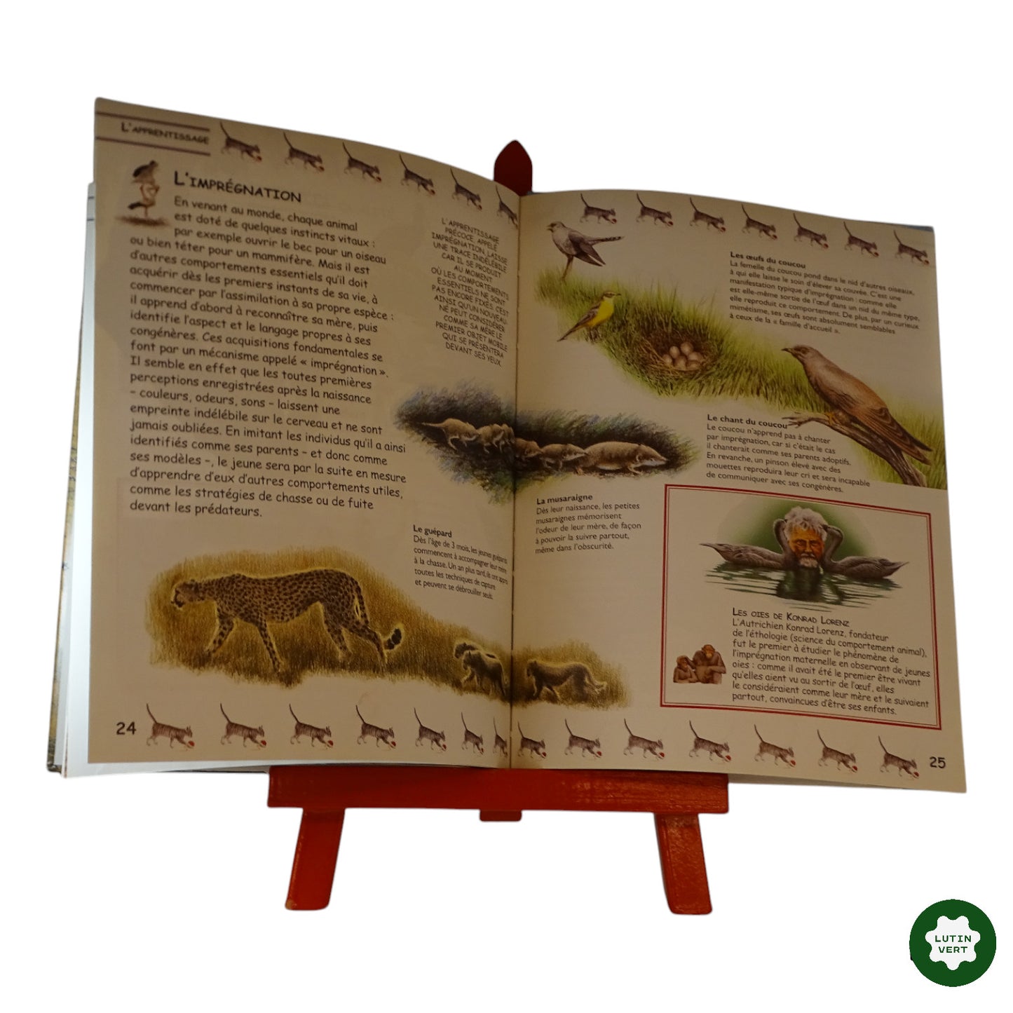 Le comportement des Animaux d'occasion EDITIONS DU KORRIGAN - Dès 6 ans | Ref 6015
