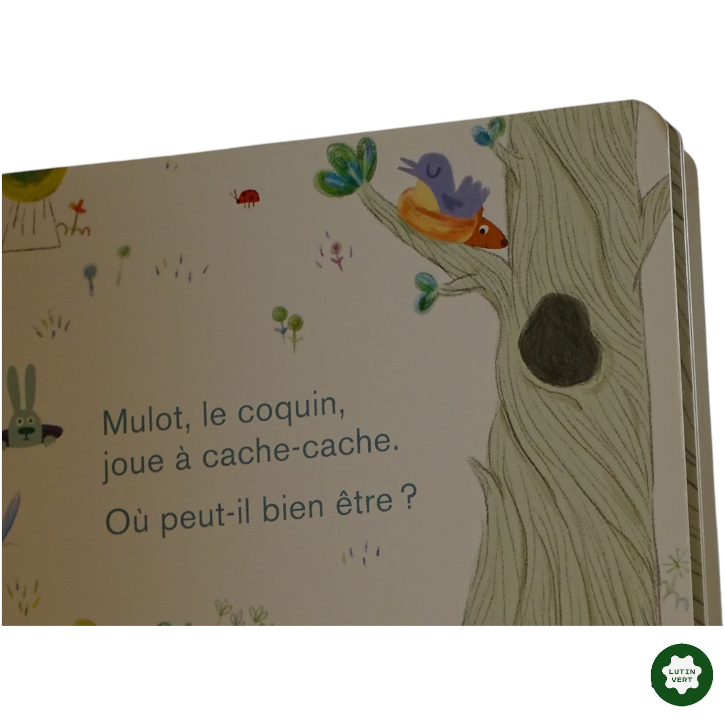 Livre Où est mulot ? d'occasion LA COURTE ÉCHELLE - Dès 3 mois | Ref 10008