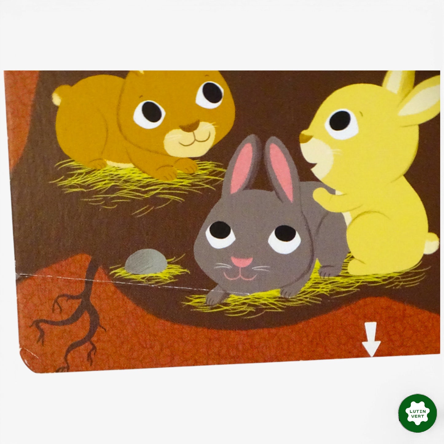 Kididoc « Bonjour bébé lapin » d'occasion NATHAN - Dès 3 ans | Ref 10204