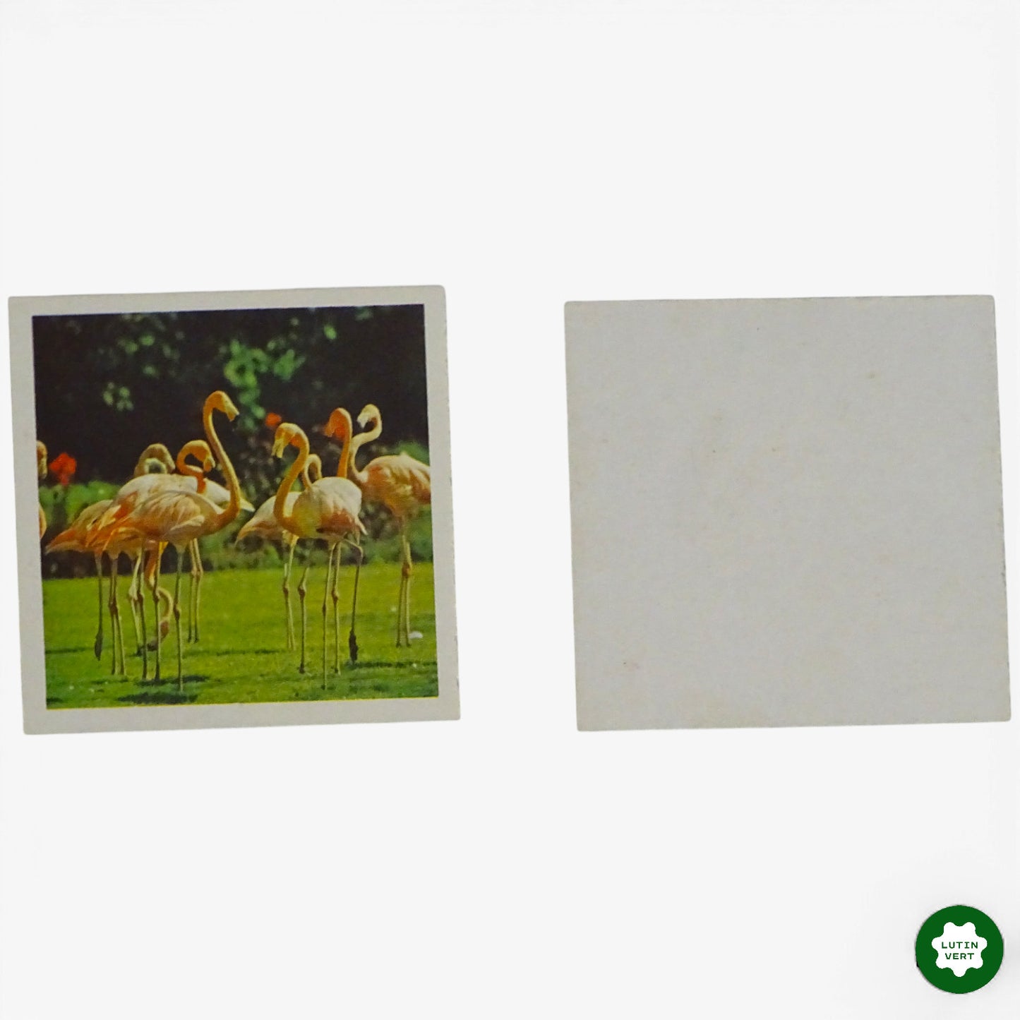 Loto des animaux de la nature d'occasion RAVENSBURGER - Dès 4 ans | Ref 10360