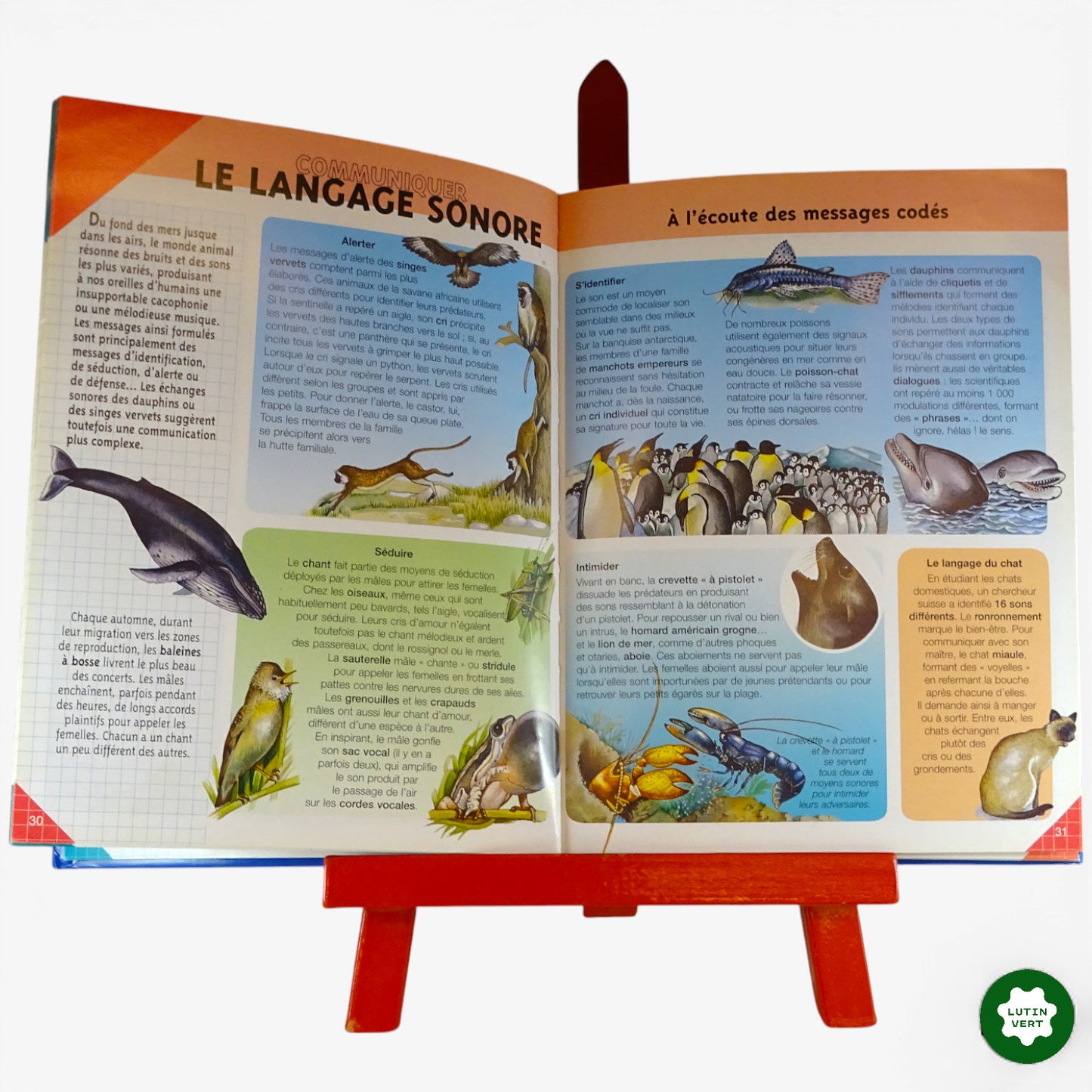 « La classe : animaux » d'occasion FLEURUS - Dès 8 ans | Ref 10546