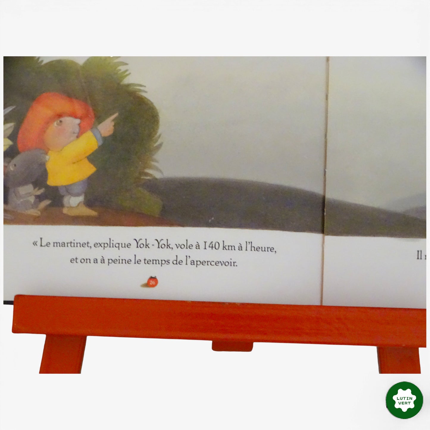 « Yok-Yok L’oiseau qui dort haut dans le ciel » Collection « Giboulées » d'occasion GALLIMARD JEUNESSE - Dès 3 ans | Ref 10560
