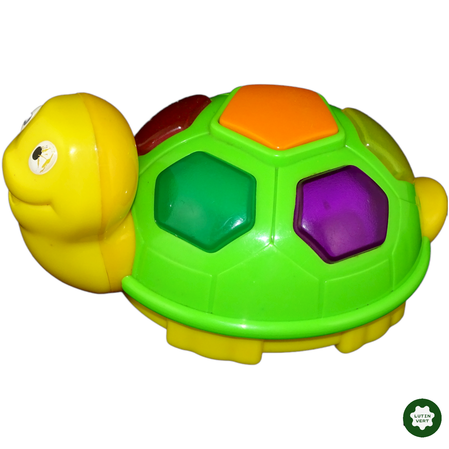 Tortue d'éveil d'occasion - REDBOX