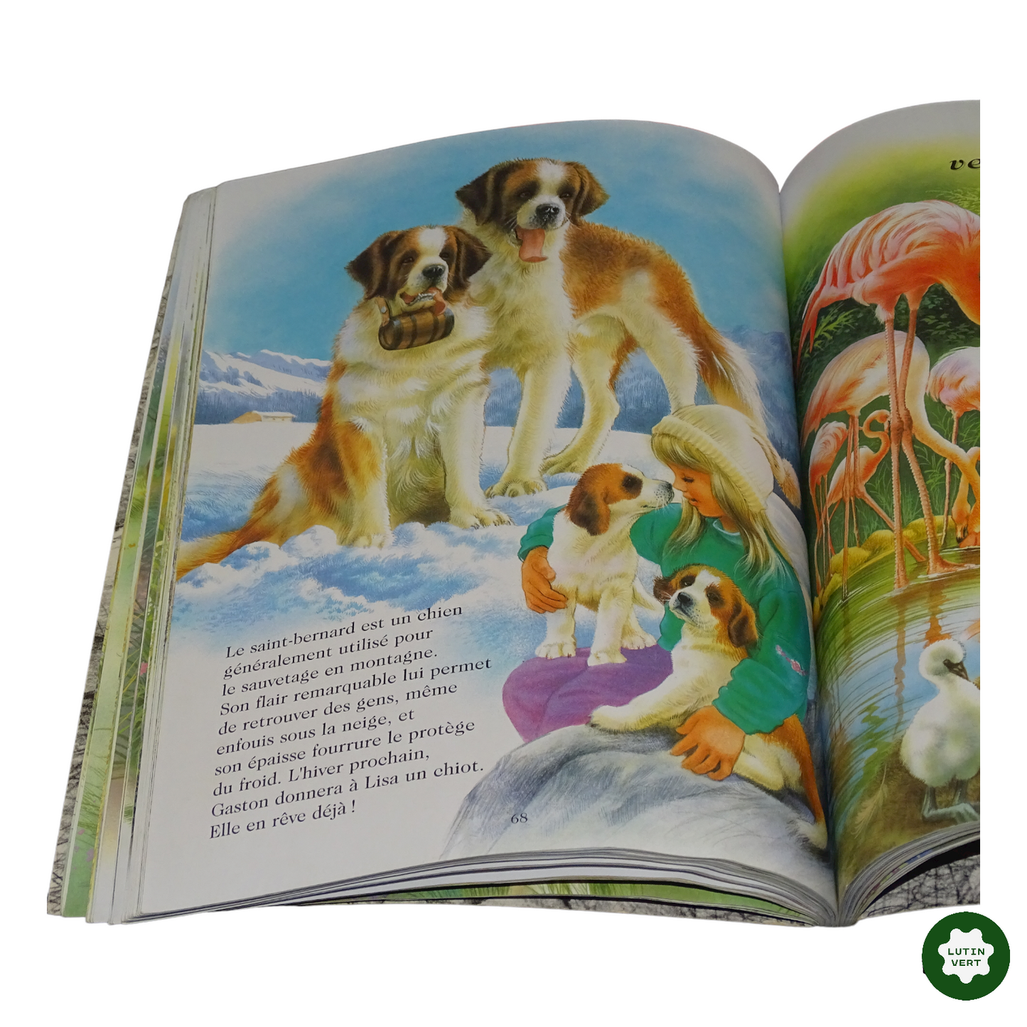 Animaux, mes amis occasion Hemma - Dès 7 ans | Lutin Vert