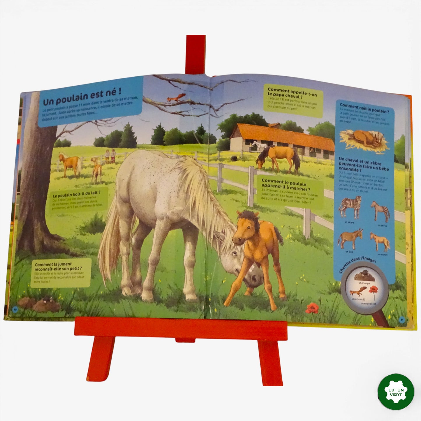 Chevaux et Poneys d'occasion NATHAN - Dès 4 ans | Ref 10834