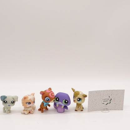 Lot de 5 Pet Shop Animaux HASBRO - Dès 4 ans | Ref 14924