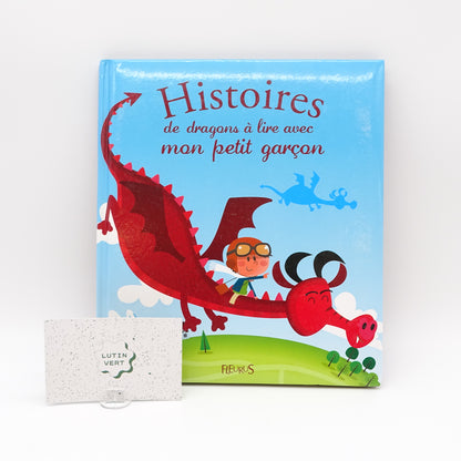 Histoires de dragons à lire avec mon petit garçon FLEURUS - Dès 4 ans | Ref 14930