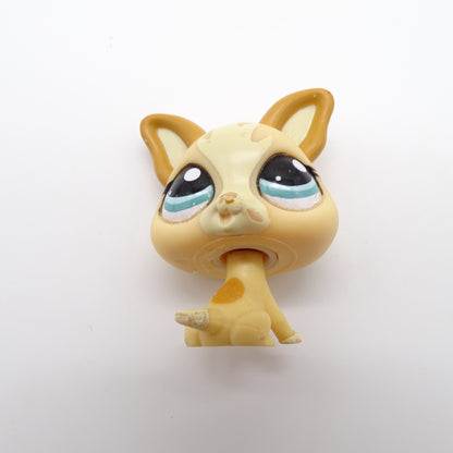 Lots de Pet Shop HASBRO - Dès 4 ans | Ref 14938