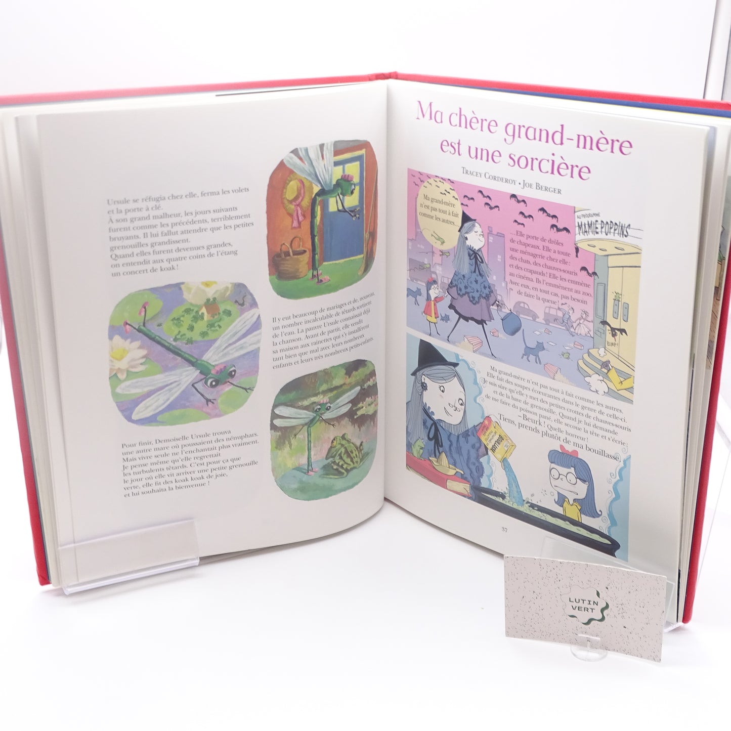 Les plus belles histoires pour les enfants de 5 ans  GALLIMARD JEUNESSE - Dès 5 ans | Ref 14983