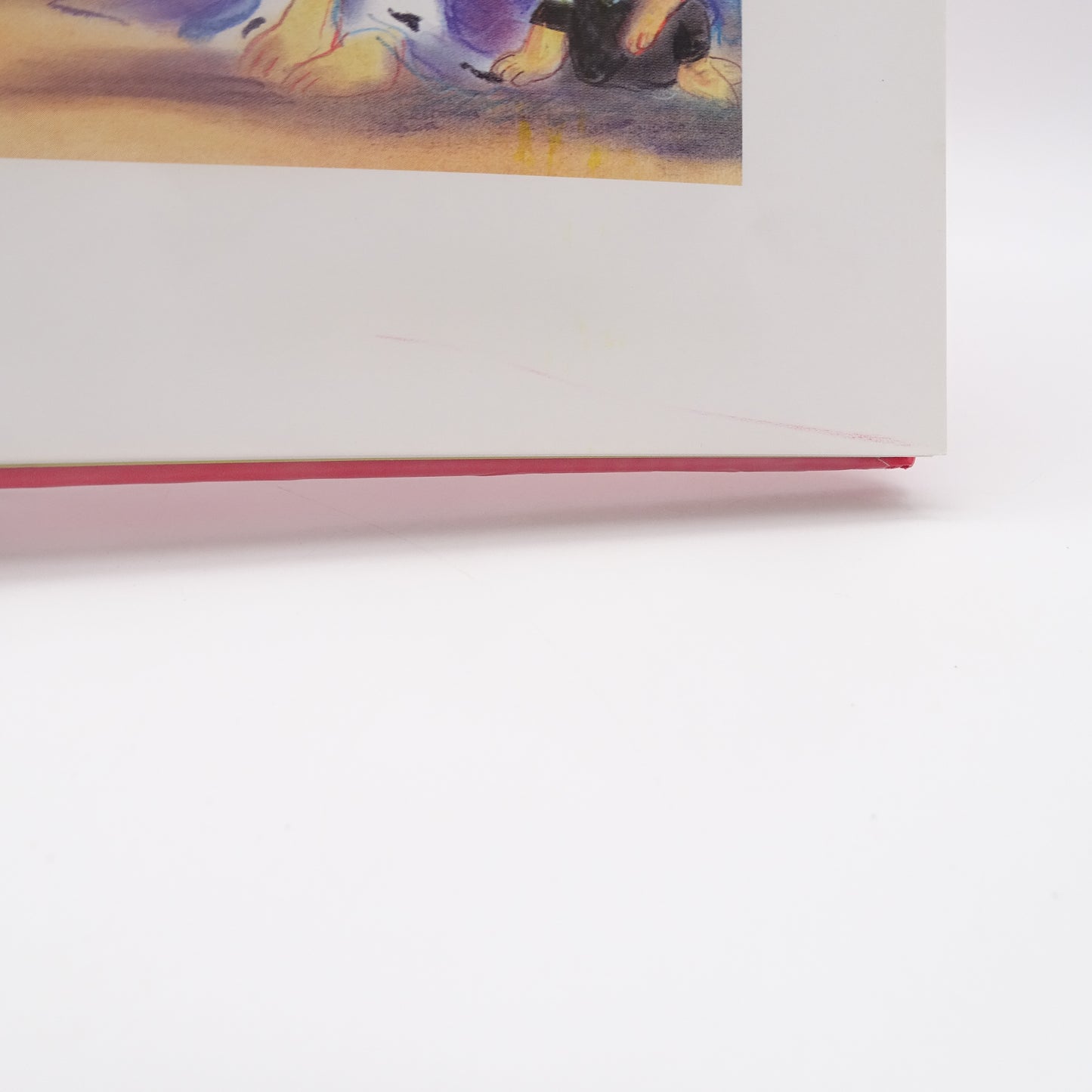 Les plus belles histoires pour les enfants de 5 ans  GALLIMARD JEUNESSE - Dès 5 ans | Ref 14983