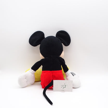 Mickey Mouse de Disney PLAY BY PLAY - Dès 3 ans | Ref 15088