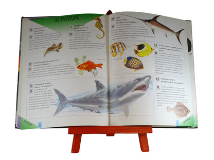 « Le grand livre des Questions & Réponses » d'occasion HEMMA - Dès 6 ans | Ref 11266