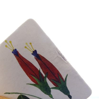 Les trésors du jardin  MOULIN ROTY - Dès 4 ans | Ref 15325