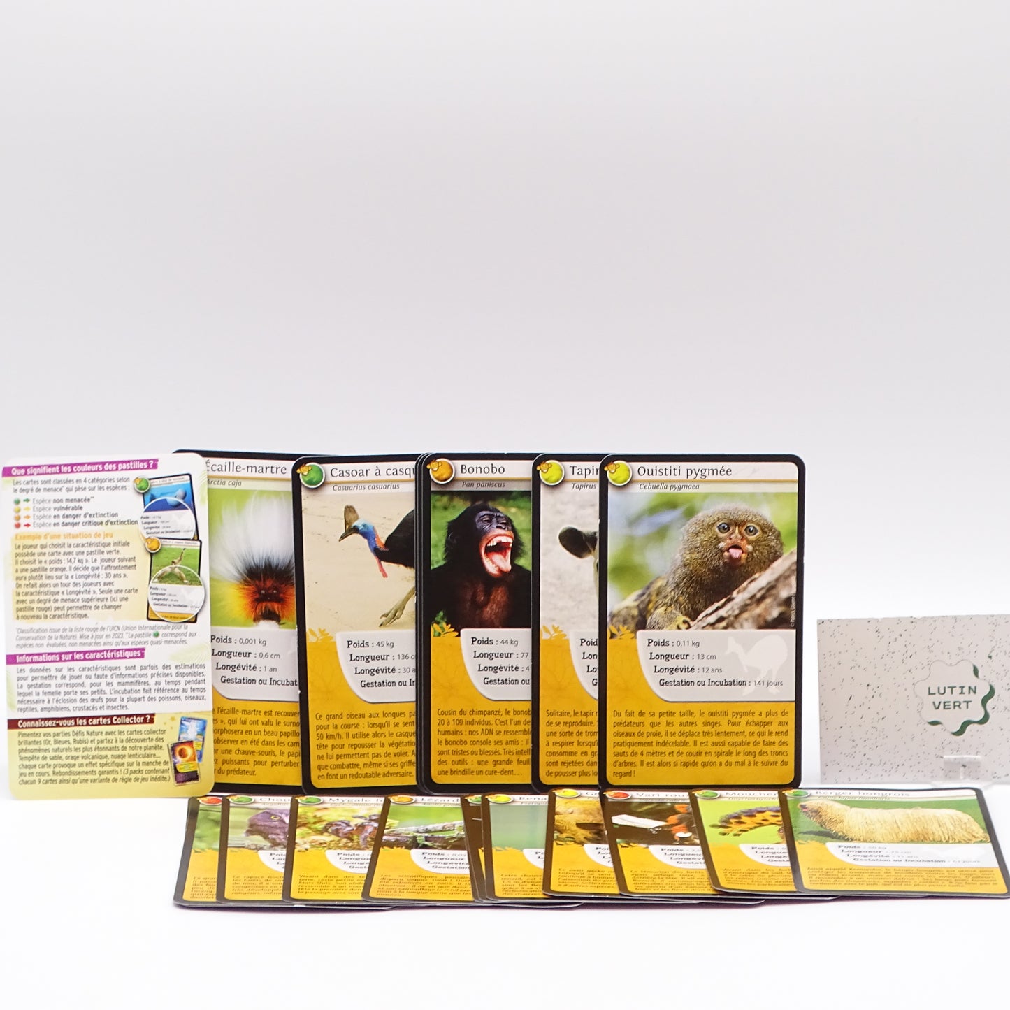Défis Nature Animaux rigolos BIOVIVA - Dès 7 ans | Ref 15424