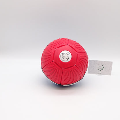 Phlat ball GOLIATH - Dès 5 ans | Ref 15570