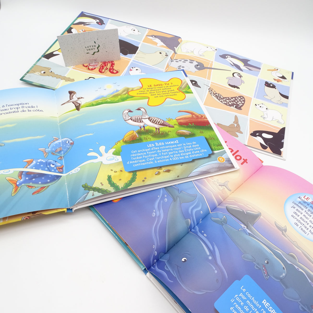 lot de 3 livres les animaux marins et polaires ALTAYA - Dès 3 ans | Ref 15605