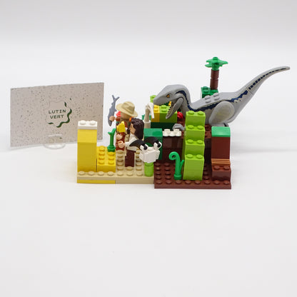 Lot LEGO « L’expédition des dinosaures » LEGO - Dès 7 ans | Ref 15685