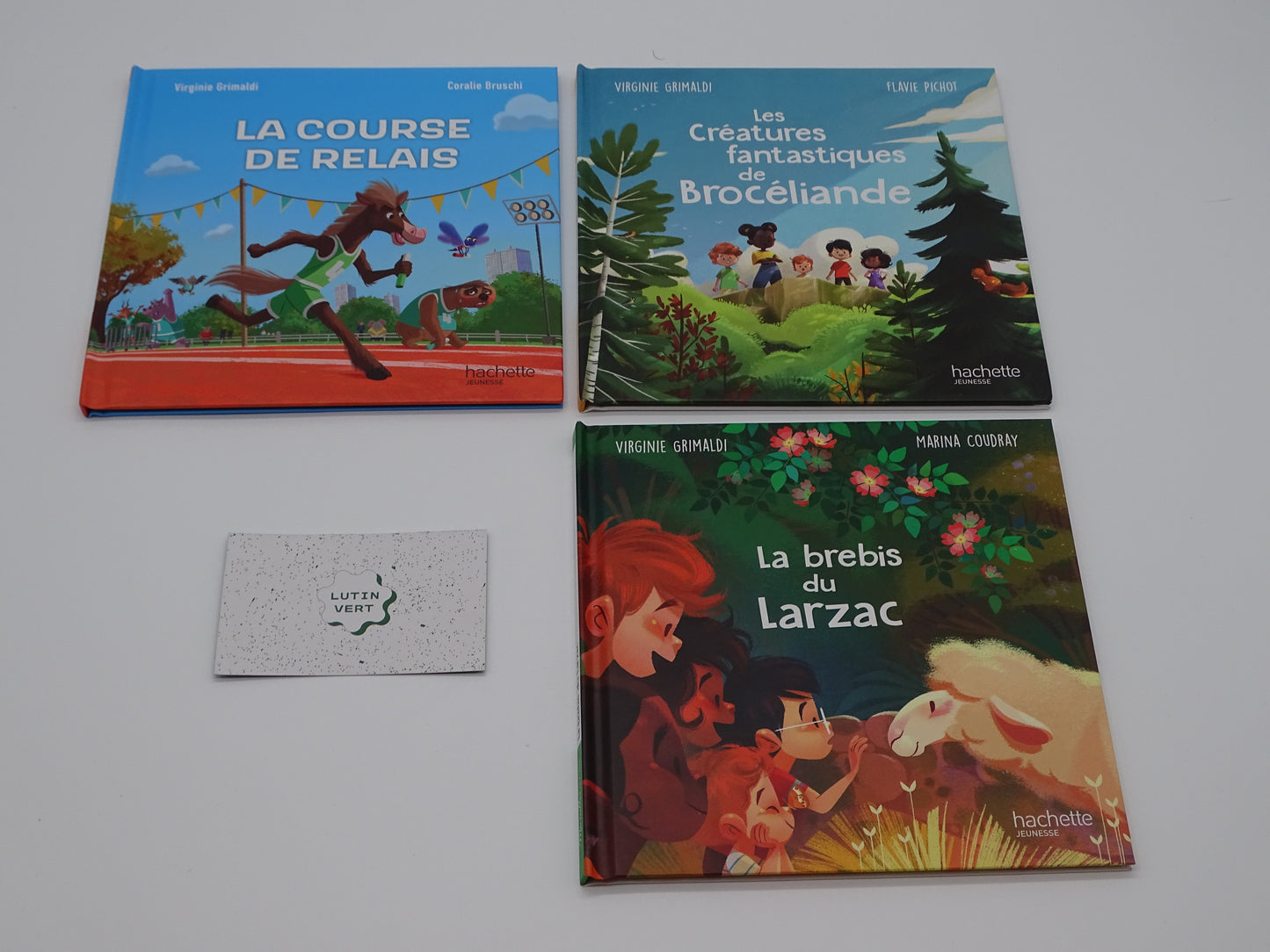 Lot de 5 livres Jeunesse d'occasion HACHETTE JEUNESSE - Dès 4 ans | Ref 13179