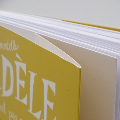 Mortelle Adèle : C'est pas ma faute ! BAYARD JEUNESSE - Dès 7 ans | Ref 15838