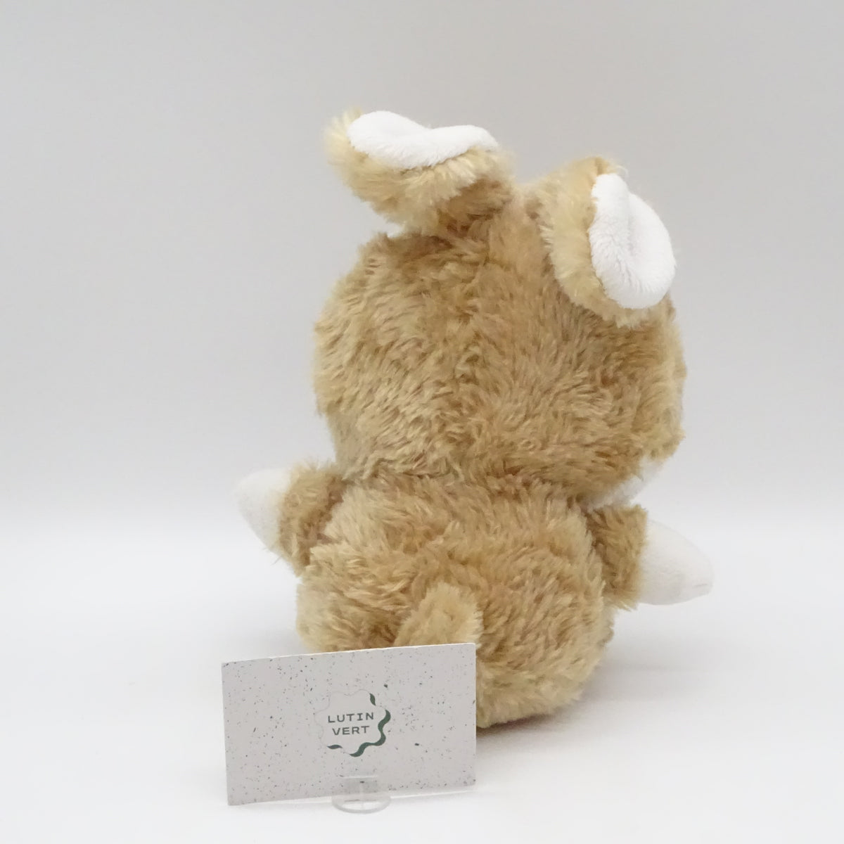 Lapin au grand yeux BAZOOKA - Dès 3 ans | Ref 15854