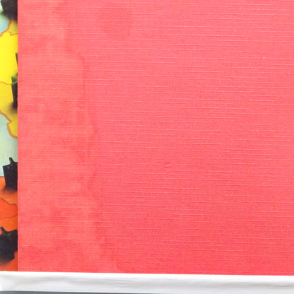 Risk, Le jeu mondial de stratégie d'occasion PARKER - Dès 10 ans | Ref 13743