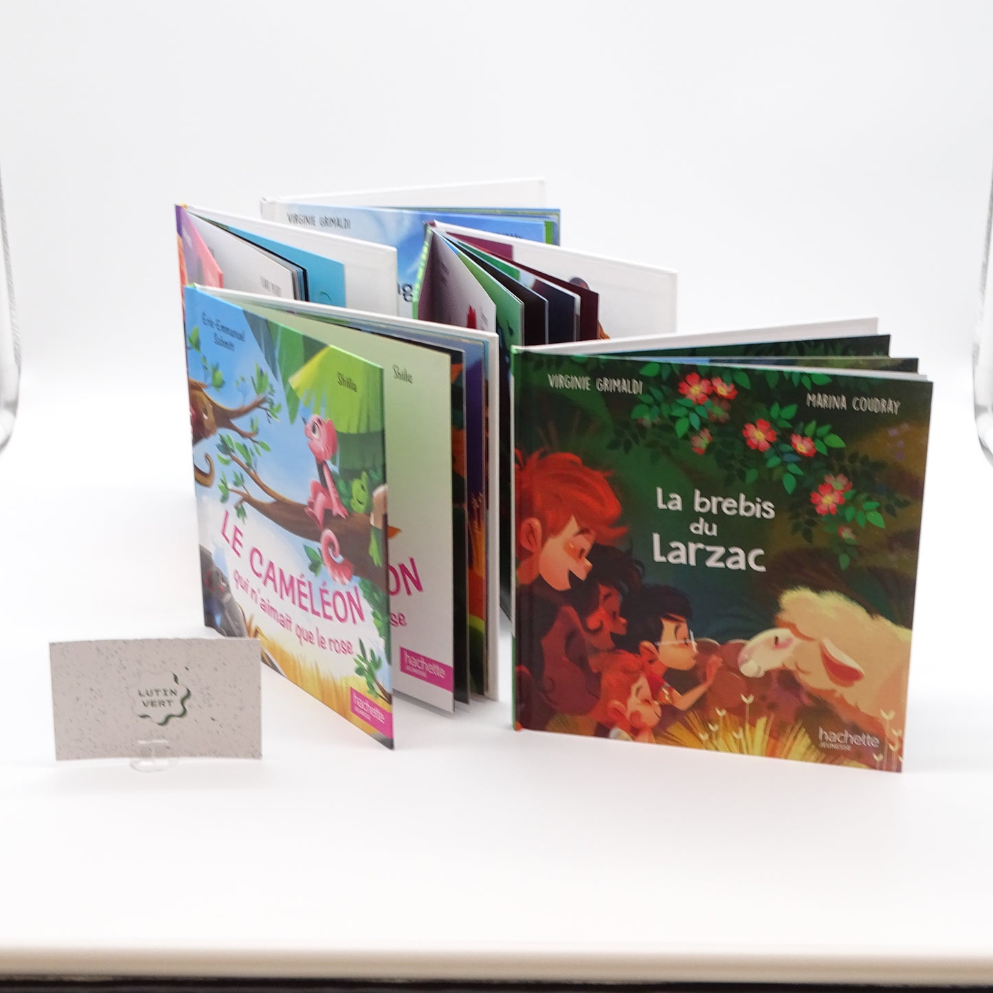 Lot 5 livres d'occasion HACHETTE JEUNESSE - Dès 5 ans | Ref 13768
