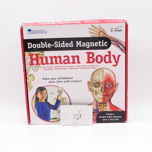 Human body magnetic d'occasion LEARNING RESOURCES - Dès 5 ans | Ref 13981