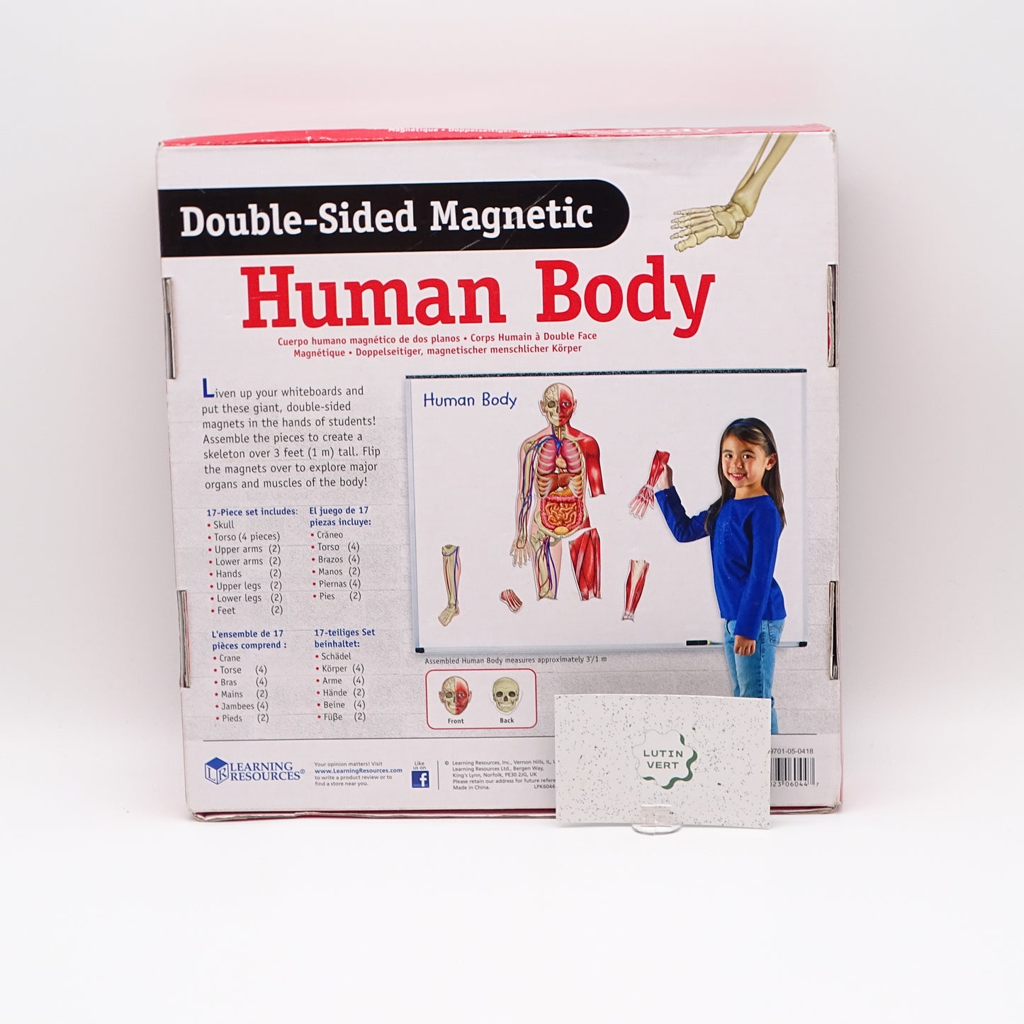 Human body magnetic d'occasion LEARNING RESOURCES - Dès 5 ans | Ref 13981