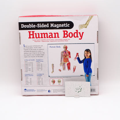 Human body magnetic d'occasion LEARNING RESOURCES - Dès 5 ans | Ref 13981