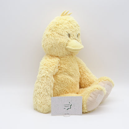 Canard d'occasion ALE-HOP - Dès 2 ans | Ref 14058