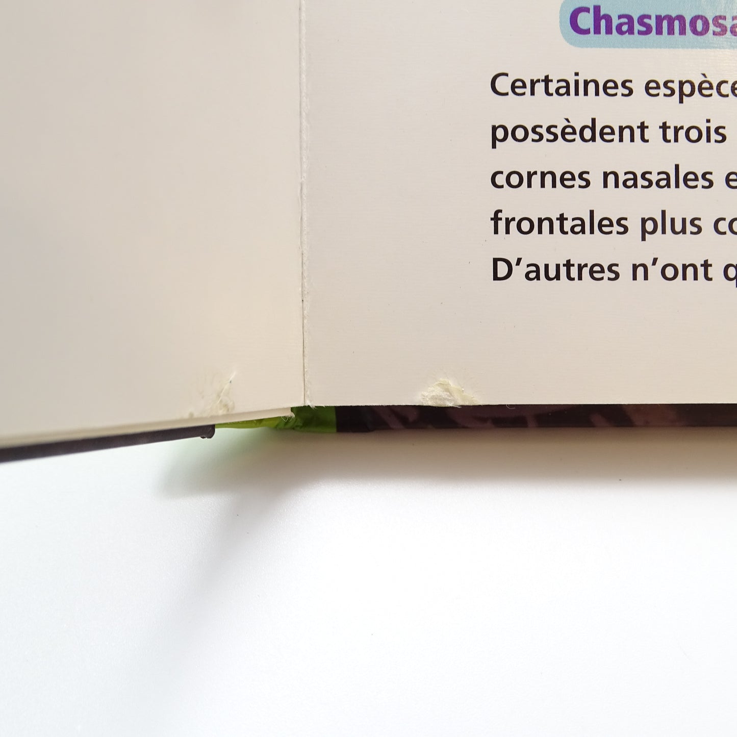 Je suis un tricératops  d'occasion NUINUI JEUNESSE - Dès 6 ans | Ref 14101