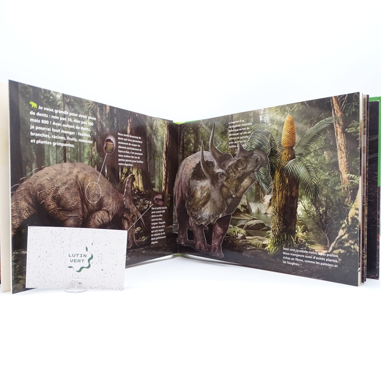 Je suis un tricératops  d'occasion NUINUI JEUNESSE - Dès 6 ans | Ref 14101