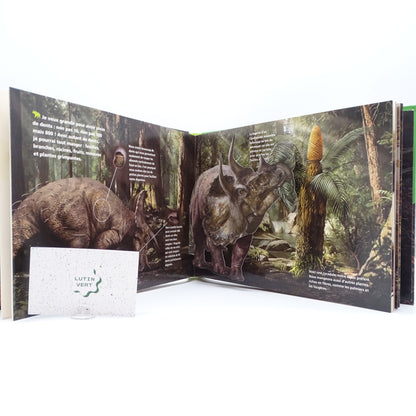 Je suis un tricératops  d'occasion NUINUI JEUNESSE - Dès 6 ans | Ref 14101