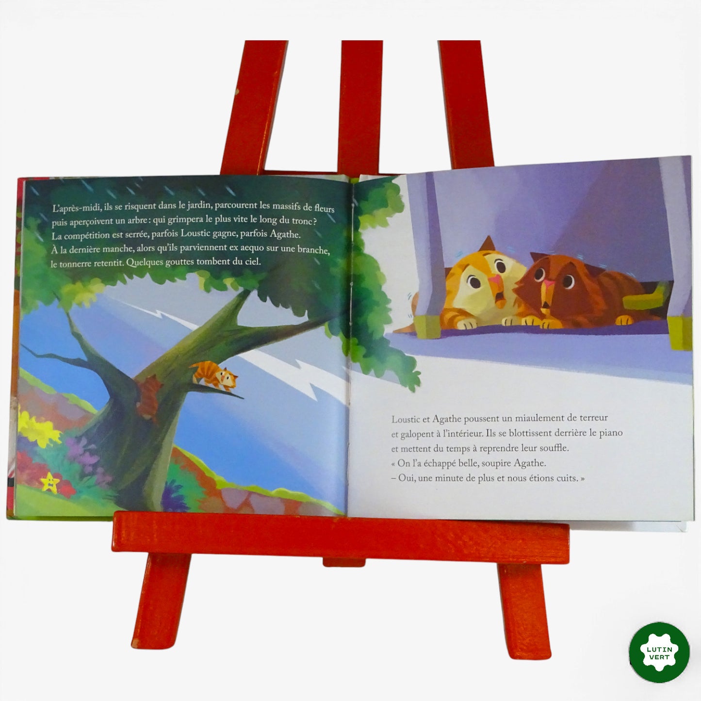 Livre jeunesse chat échaudé craint l’eau froide d'occasion HACHETTE JEUNESSE - Dès 3 ans | Ref 10114