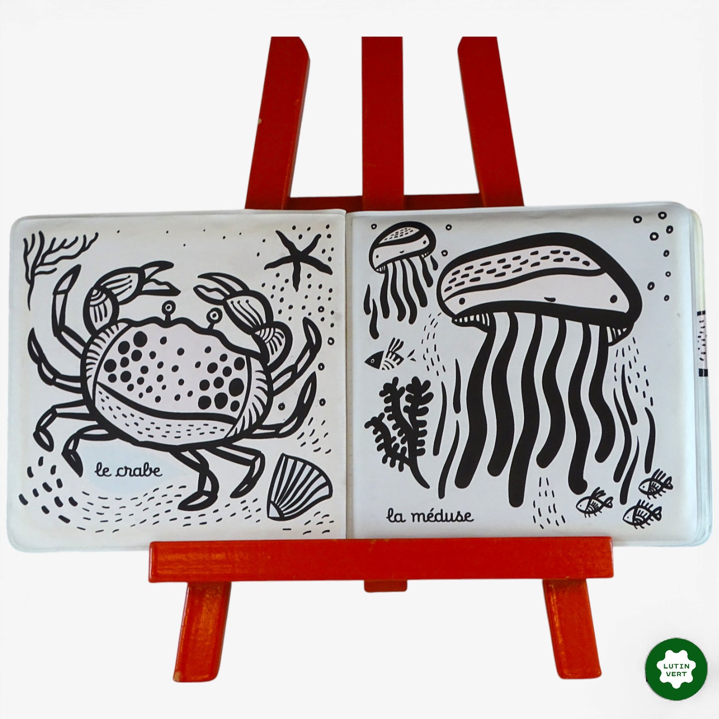 Imagier de Bain « Petite tortue et ses amis » d'occasion  - Dès 3 ans | Ref 10203
