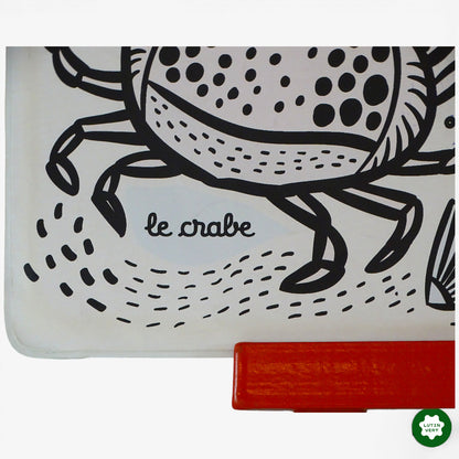 Imagier de Bain « Petite tortue et ses amis » d'occasion  - Dès 3 ans | Ref 10203