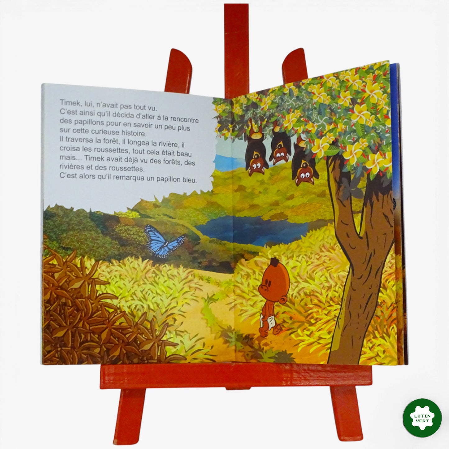 Livre Timek et La coccinelle qui ne savait pas dessiner d'occasion LA BROUSSE EN FOLIE - Dès 3 ans | Ref 10187