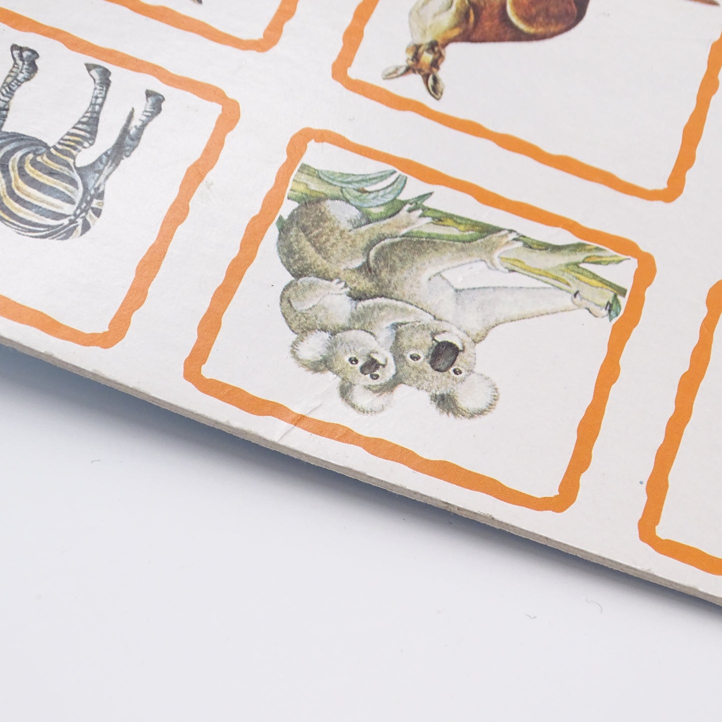 Loto « Les Animaux Sauvages » RAVENSBURGER - Dès 2 ans | Ref 14549
