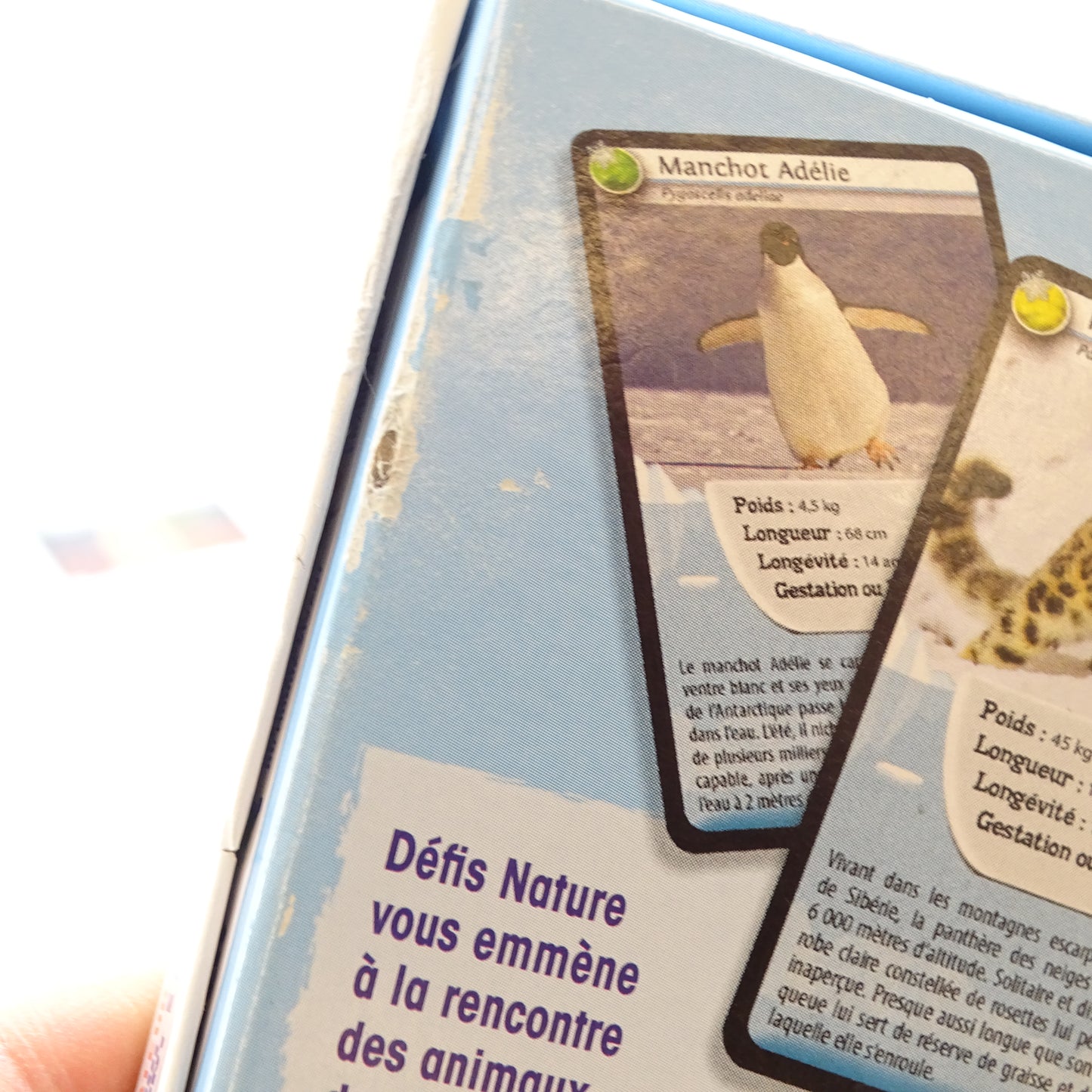 Defis natur froid extreme BIOVIVA - Dès 7 ans | Ref 14630